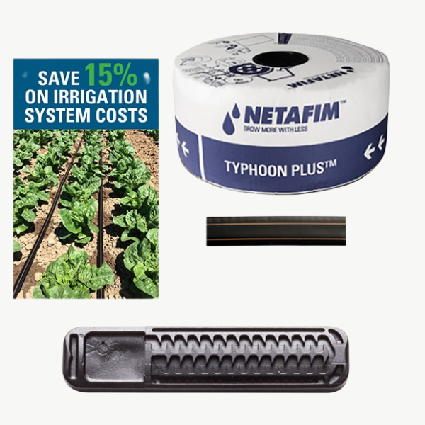 Netafim 15 Mil Typhoon buried subsurface under a corn field.