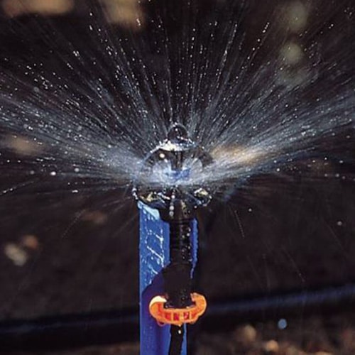 Supernet Sprinkler on Stake
