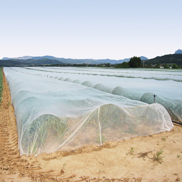 Insect Netting protects crops from pests