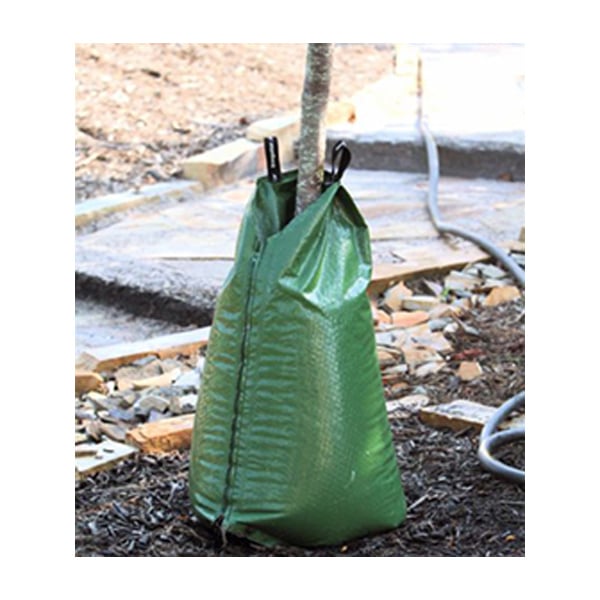 Treegators zipped together to water larger trees.